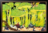 Enchanted Forest Framed Art Print