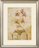 Gilded Cage I