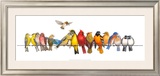Large Bird Menagerie