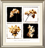 Buy Orchid Suite at AllPosters.com