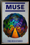 Muse