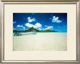 Buy Langoonarium at AllPosters.com