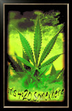 It's 4:20 Somewhere Framed Art Print