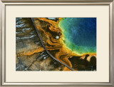 Source Chaude du Grand Prismatic, Yellowstone