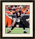 Carson Palmer
