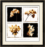 Buy Orchid Suite at AllPosters.com