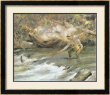 Buy Trout Stream at AllPosters.com