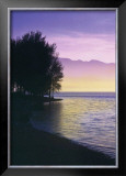 Buy Idyllic Lake IV at AllPosters.com