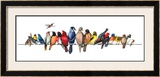 Large Bird Menagerie