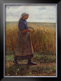 Summer Harvest Framed Art Print