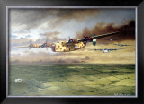 WWII, AAF B-24D Consolidated Bomber