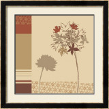 Botanical Shadows I