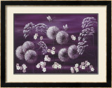 Midnight Meadow