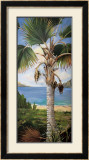 Buy Fan Palm at AllPosters.com