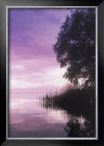 Buy Idyllic Lake III at AllPosters.com