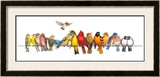 Large Bird Menagerie