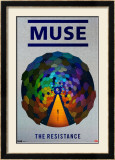 Muse