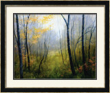 Buy Woodland Mist at AllPosters.com
