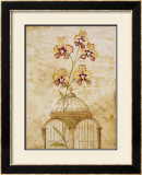 Gilded Cage I
