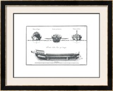 Buy Palmi Napoletanis at AllPosters.com