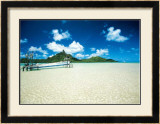 Buy Langoonarium at AllPosters.com