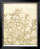 Ivory Field II