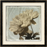 Antiqued Floral and Sky I