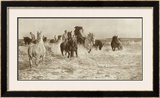 Buy Horses Bathing at AllPosters.com