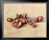 Mushrooms