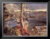 Buy Tree at Walchensee at AllPosters.com