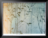 Buy Day Spring at AllPosters.com