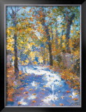 Lumiere d'automne