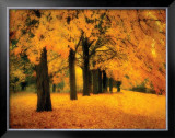 Buy Gold of Autumn East at AllPosters.com