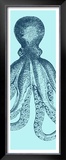 Octopus Triptych II