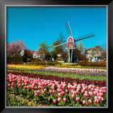 Buy Lisse, Holland at AllPosters.com