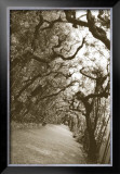 Buy Boboli Arbor, Italy at AllPosters.com