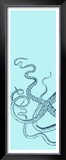 Octopus Triptych I