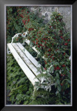 Buy White Bench at AllPosters.com