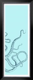 Octopus Triptych III