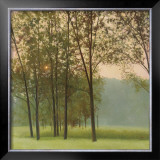 Buy Haze at AllPosters.com