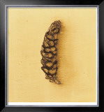 Fundamental Nature IV