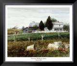 Amish Hills