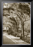Buy Queen's Garden, Kew, UK at AllPosters.com