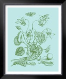 Spring Cyclamen I