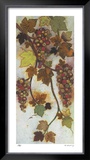 Vineyard Visions III