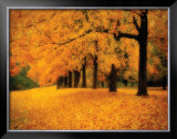 Buy Gold of Autumn West at AllPosters.com