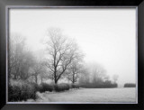 Buy Misty Tree, Lined Field at AllPosters.com