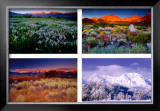 Buy Four Seasons at AllPosters.com