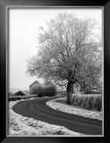 Buy Misty Country Road at AllPosters.com