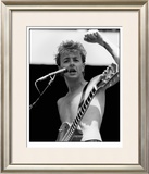 Stray Cats